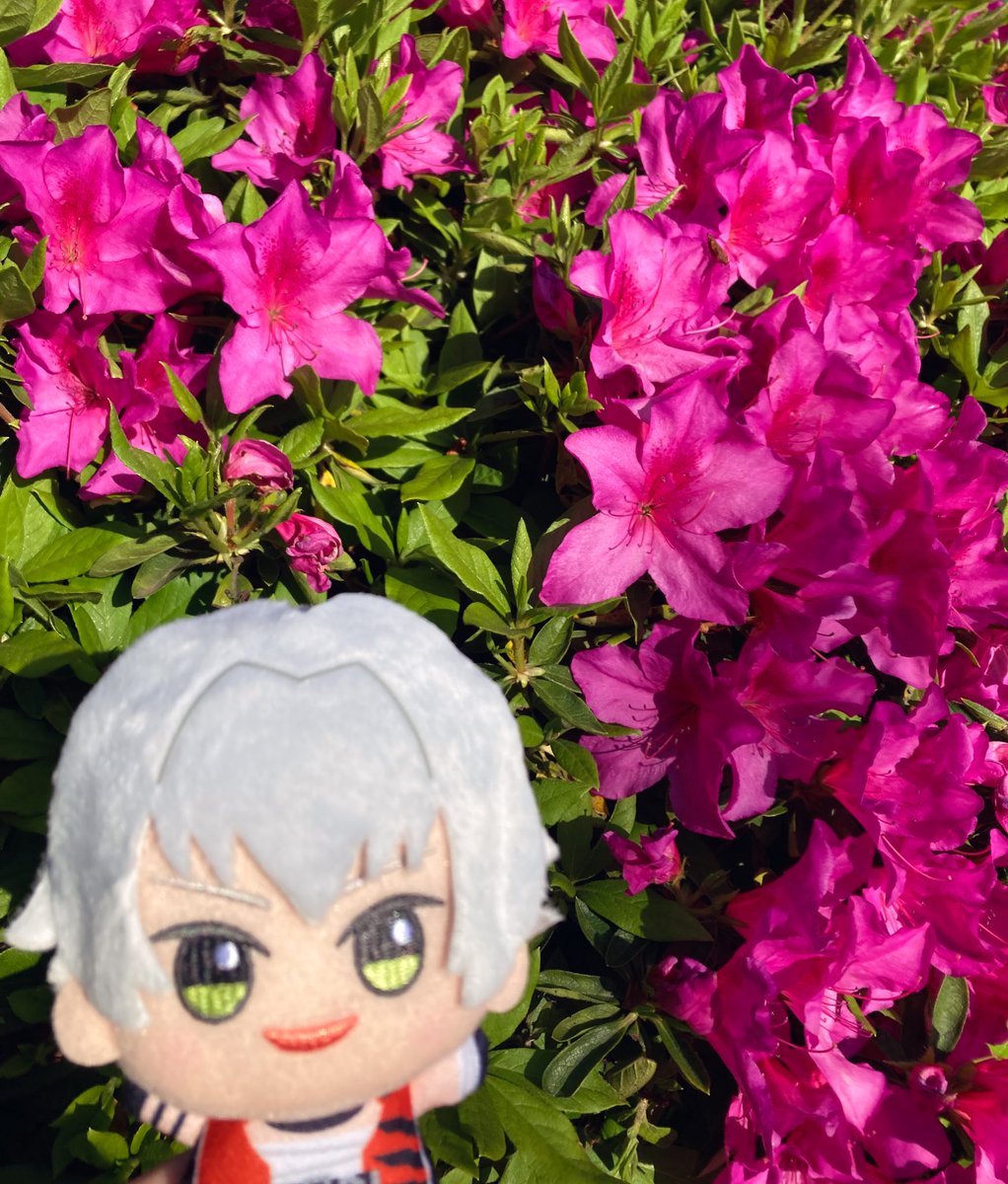 らくの tweet media