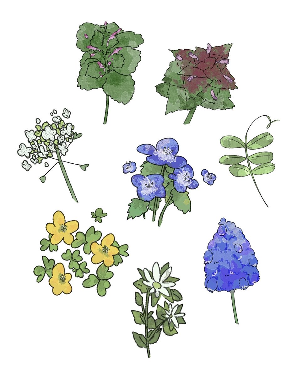 ﾈﾓ-ﾛ tweet media