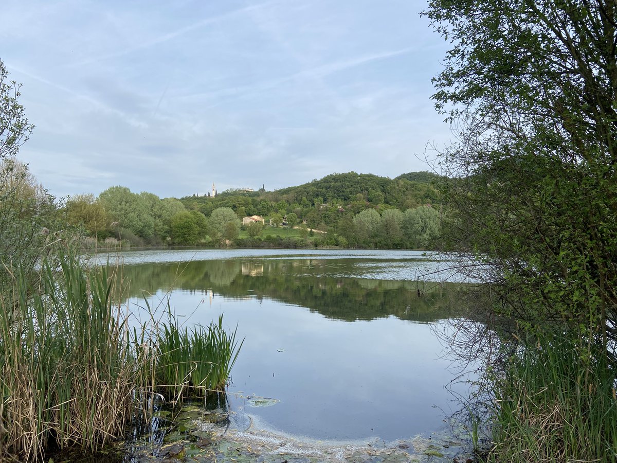 Mary 🜃 tweet media