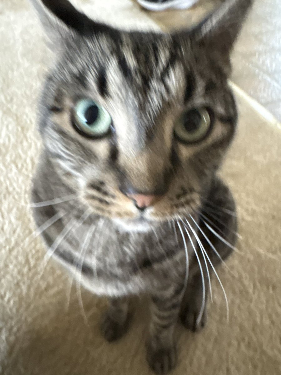 GamingFunny tweet media