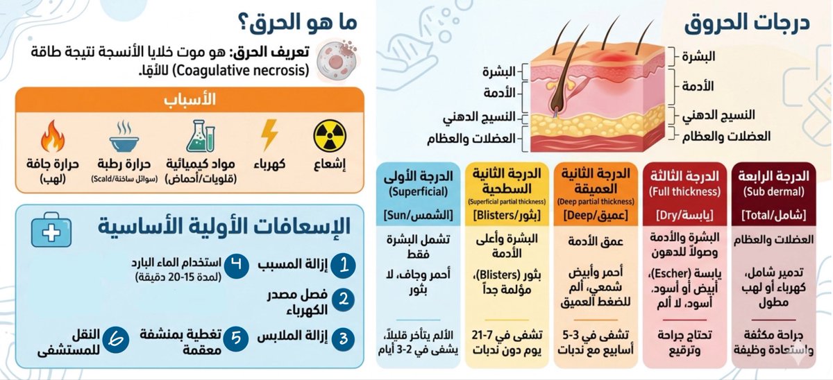 SPT ASEEL | اسيل tweet media