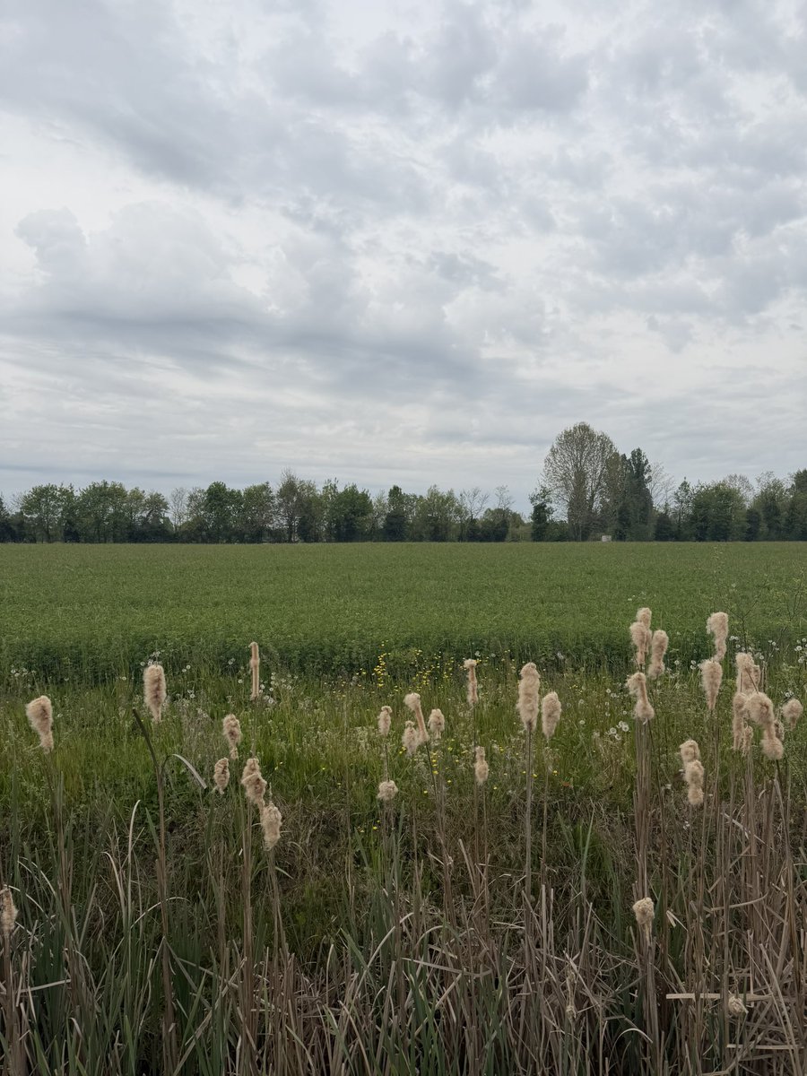 FCaberlotto's tweet image. Giornata detox nella regione più bella del mondo il #Veneto