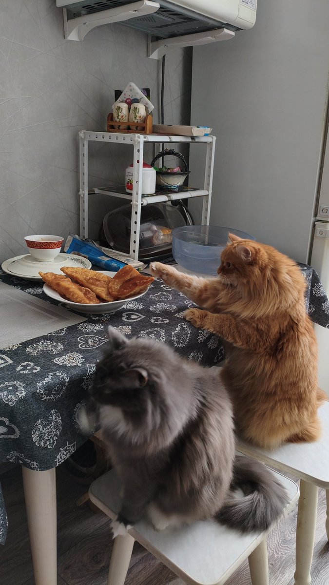 Перевал Дятлова tweet media