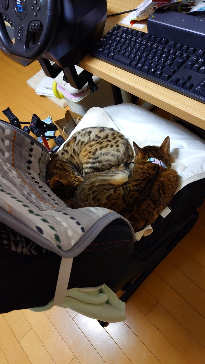 涼 tweet media