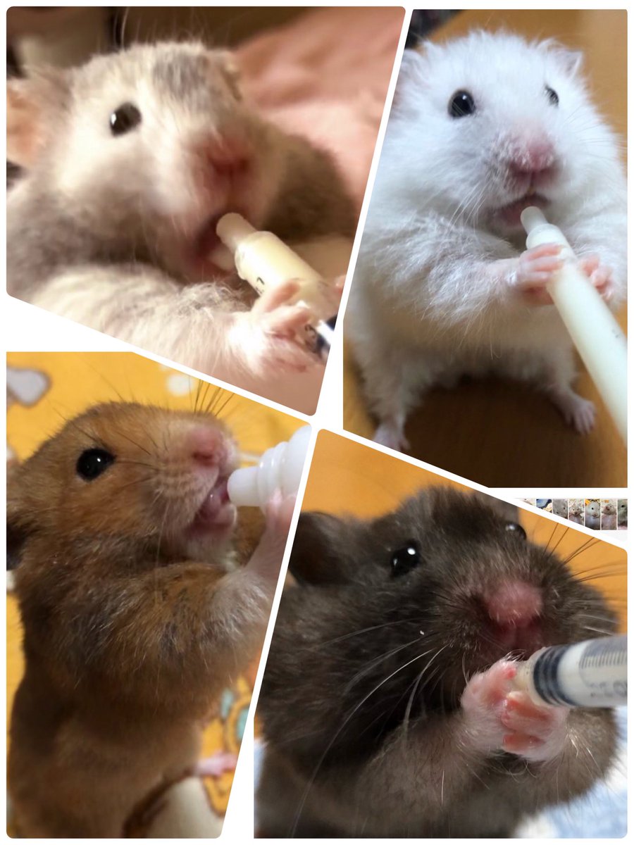 Eriko⭐︎ tweet media