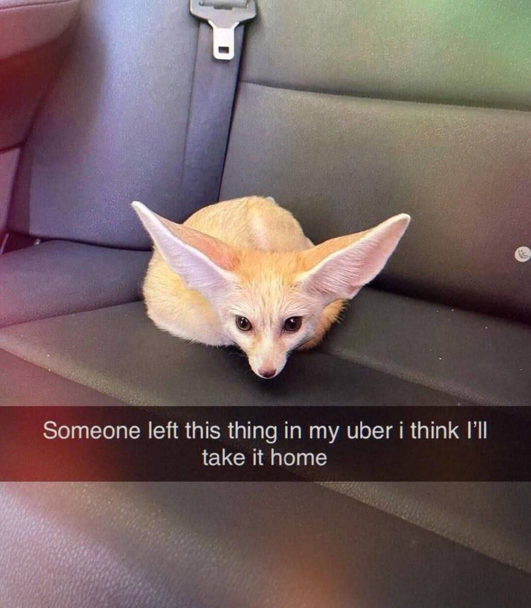 Sawfthausen tweet media