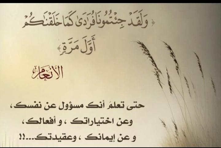 مناحي الثبيتي tweet media