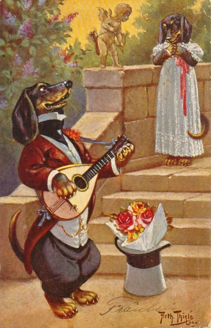 Jesus Não-Binário de Alagoinha tweet media