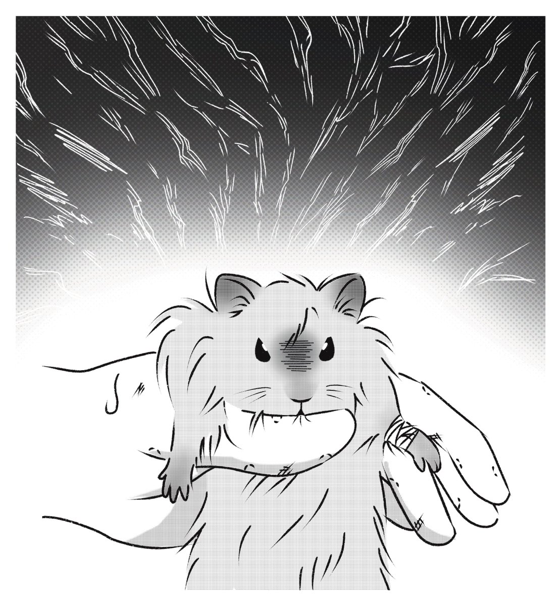 𝐦𝐢𝐬𝐞 tweet media