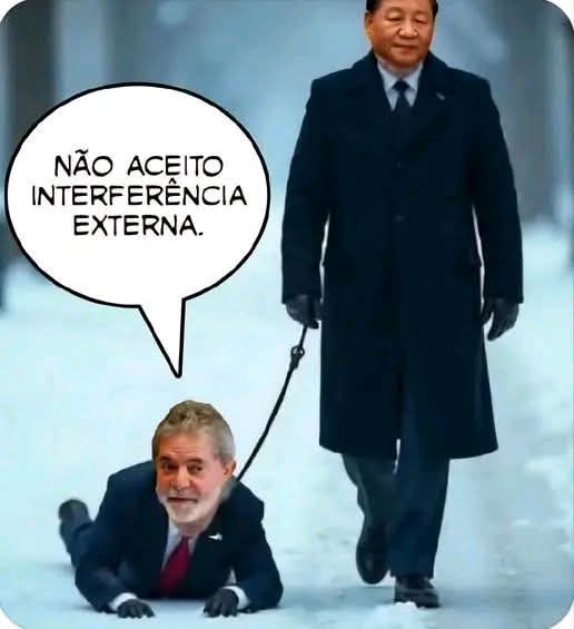 Ale𝕏 🇧🇷 tweet media