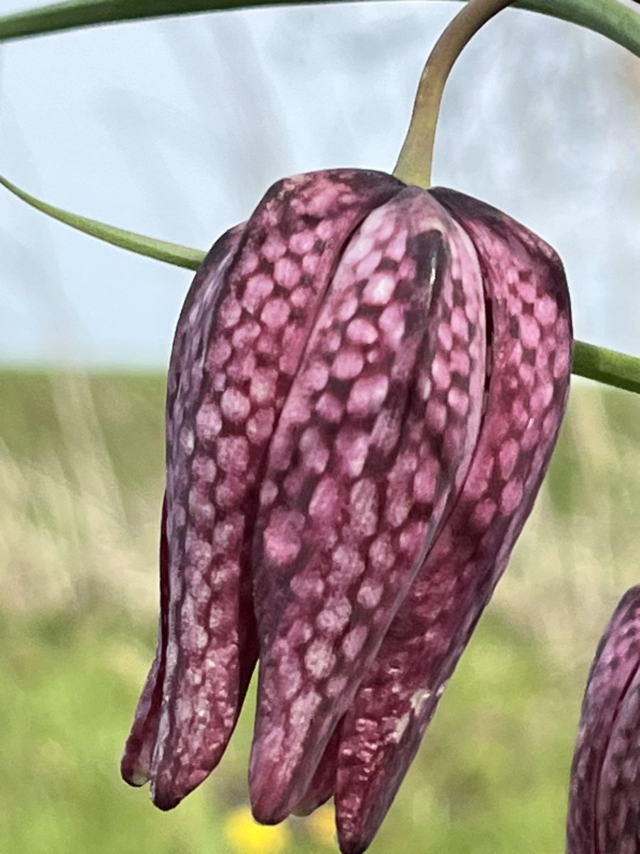 Wietse de Boer tweet media