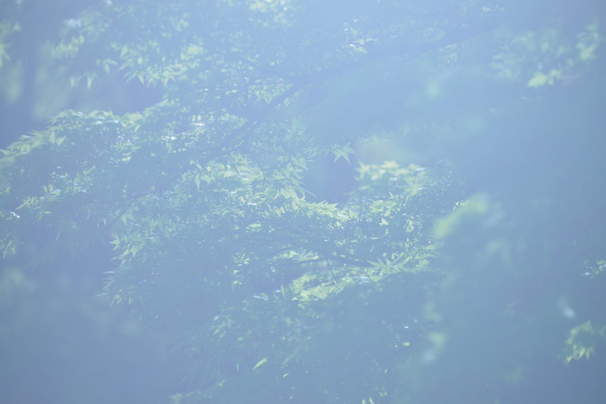 フィルター使って逆光じゃなくても光が暴れてるくらいの濃淡で収めといて、微妙な光の飛び散り具合を活かしてレタッチで調整しつつ、最後はフィルムの写真をスキャンで取り込んだら青くなっちゃったみたいな好みの色にして、、、とかなんとか考えて１日いじくり回してアレになった。脳みそ湧いてる