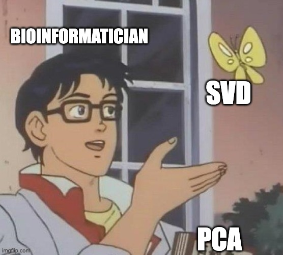 Ming "Tommy" Tang tweet media