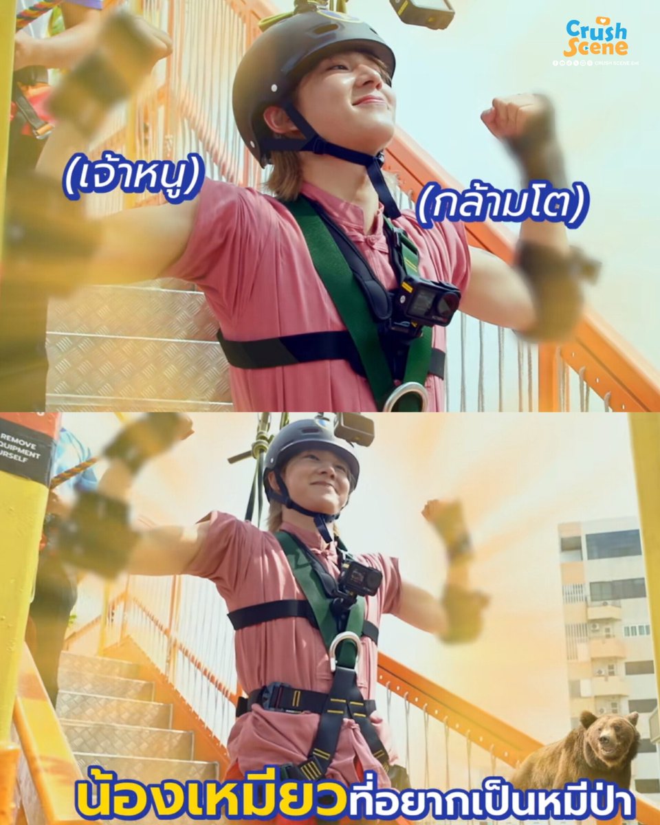 Crush Scene Ent tweet media