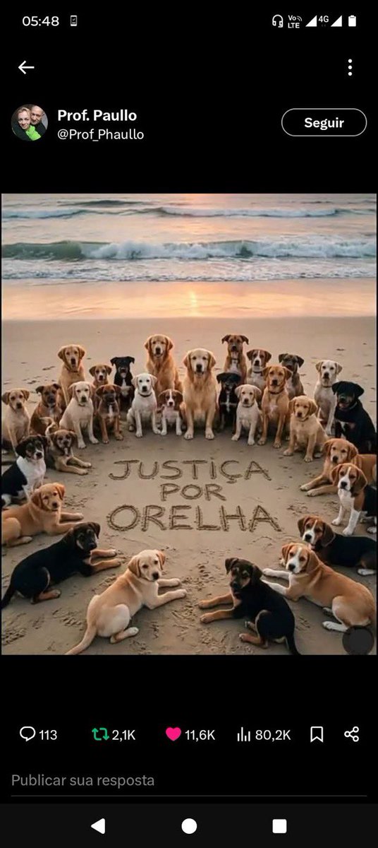 dilthi_gujarati's tweet photo. #JustiçaPorOrelha

Animal Cruelty is #GlobalPandemic now

Animal Nature Haters killers are the real menace to society and all living beings. They are Psychopathic criminals 

We demand justice #UntilEveryAnimalisFree 

#AnimalCruelty is predictor crime of future' violence on human's & other Animals.

The FBI treats animal cruelty as a "predictor crime" for serial offenders. If top law enforcement recognizes the link to human violence, why do our policymakers ignore it?
https://t.co/Hytao6aCIt
