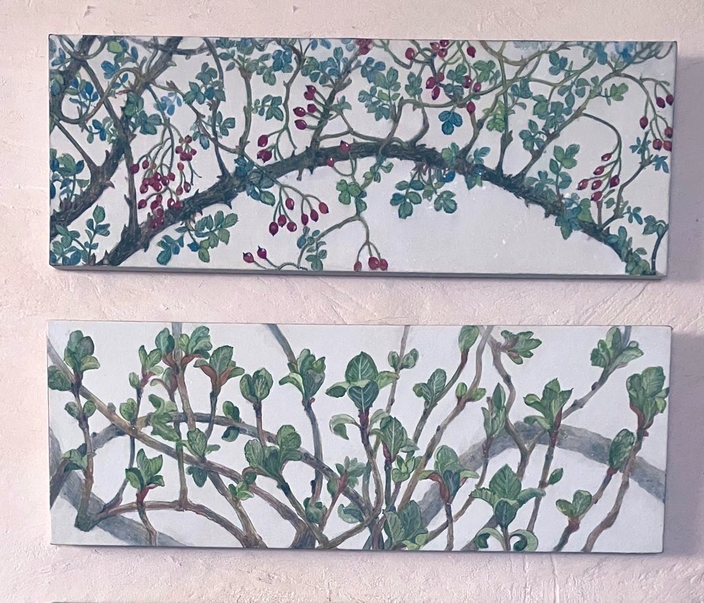 真夜中（藤白真夜） tweet media