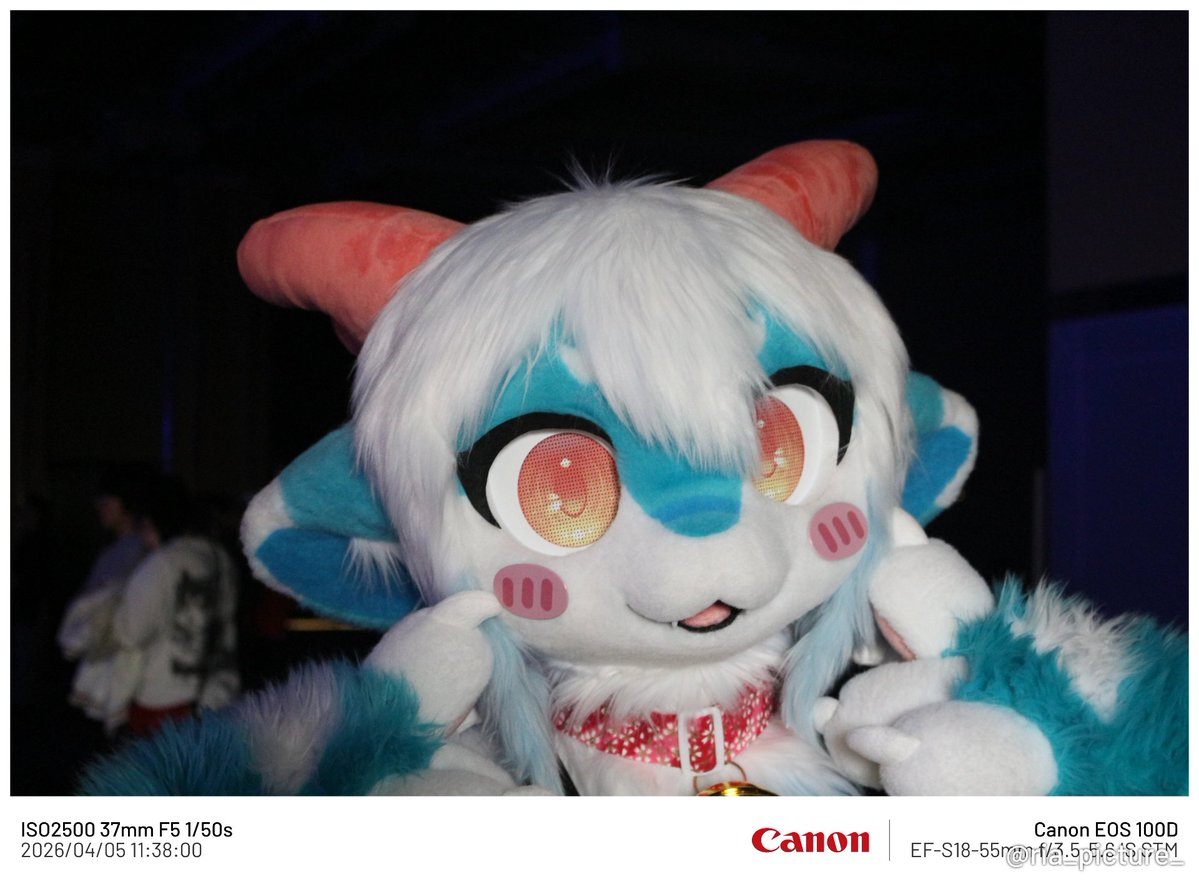 리아🌺 🫱 tweet media