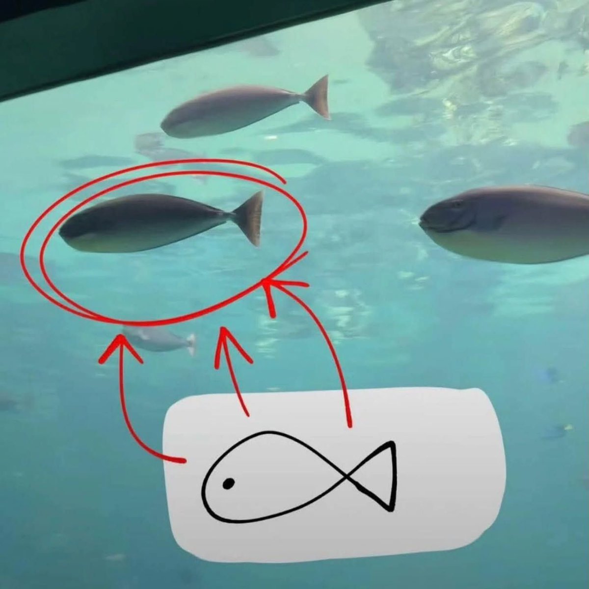 𝓙𝓪𝓷𝓪ツ tweet media