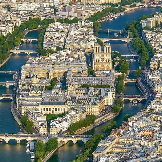 Film Diary tweet media