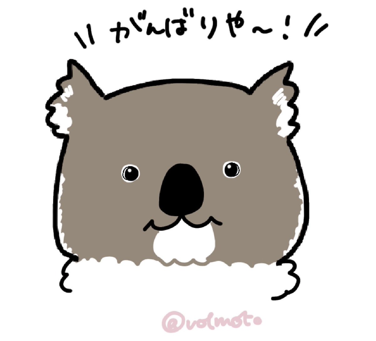 volmoto (ぼるけーのさん) tweet media