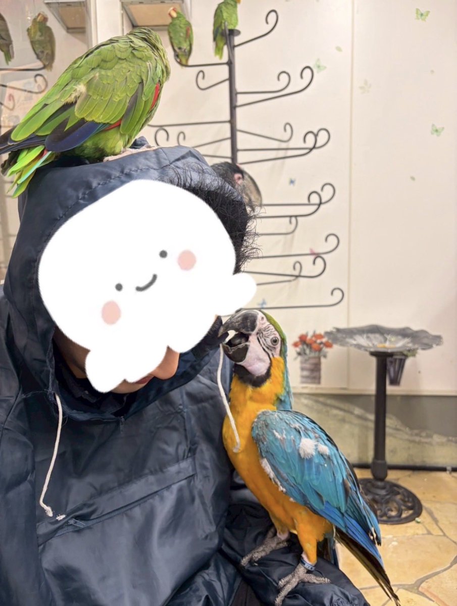 This is リーダーに嬉々としてイタズラする鳥。
いいぞ、もっとおやり←
