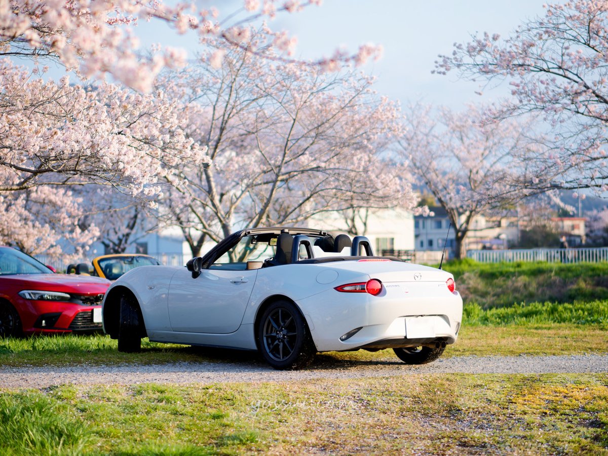 yossui_com's tweet image. #OMSYSTEM #OM1
M.ZUIKO DIGITAL ED 45mm F1.2 PRO

#写真好きな人と繋がりたい 
#withmazda
#ロードスター