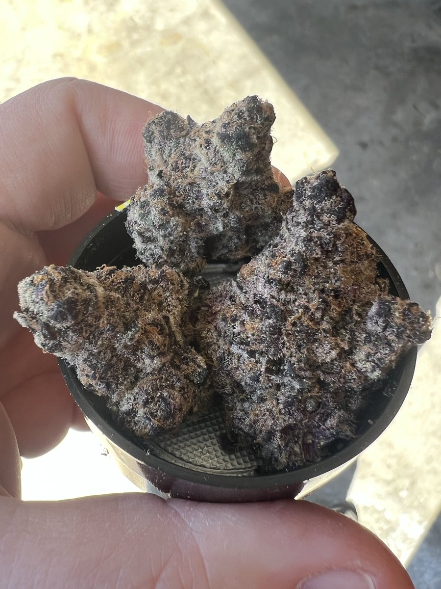 duce_7's tweet photo. @Phil_HVAC Really good, floral and berry flavour imo with strong effects. https://t.co/rzO2CGORMD