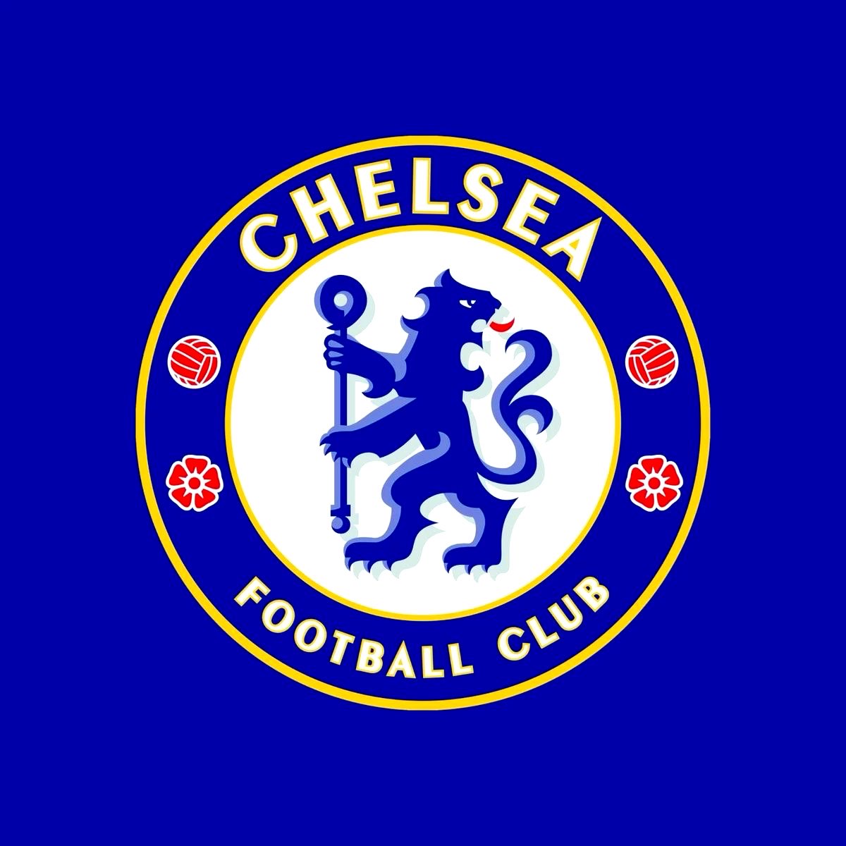 FÚTBOL HUB tweet media