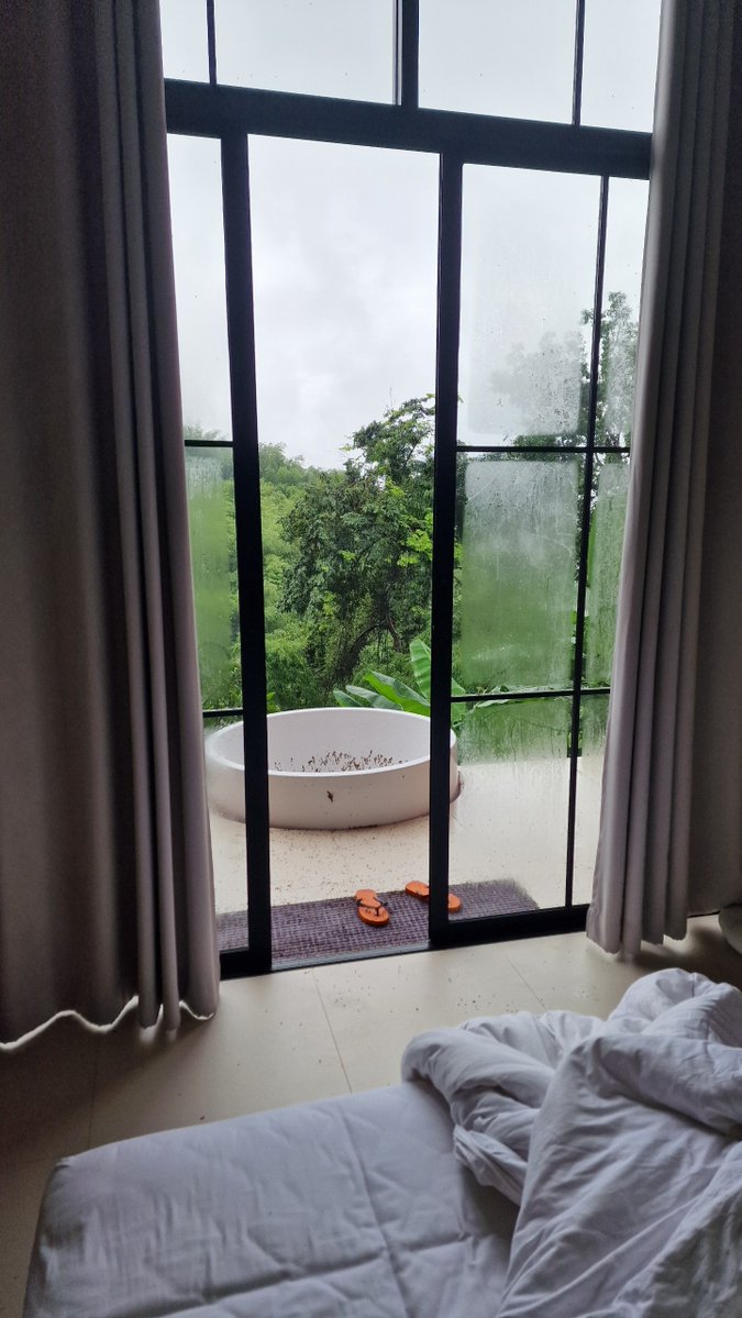 William Wallace tweet media