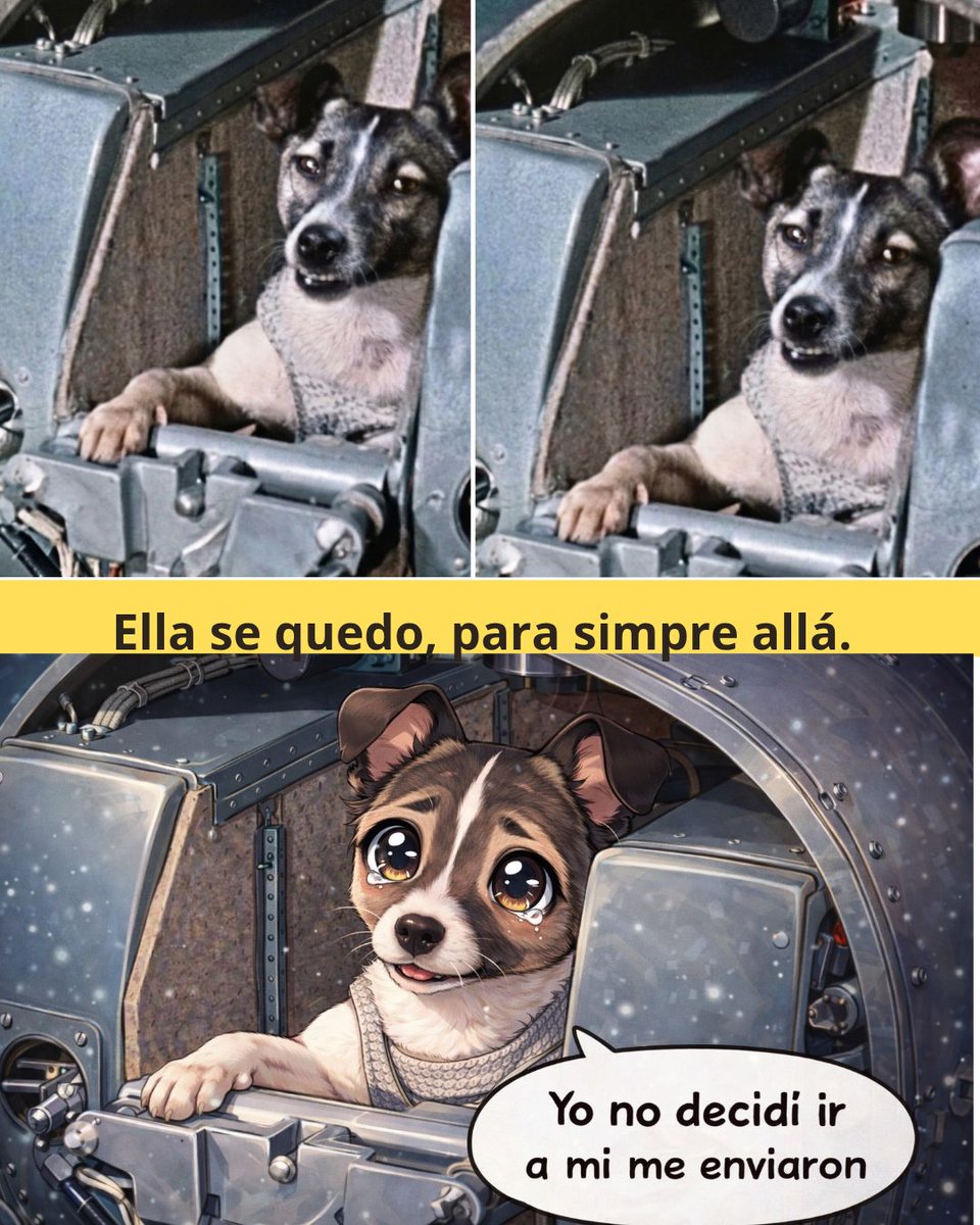 Andes Origen tweet media