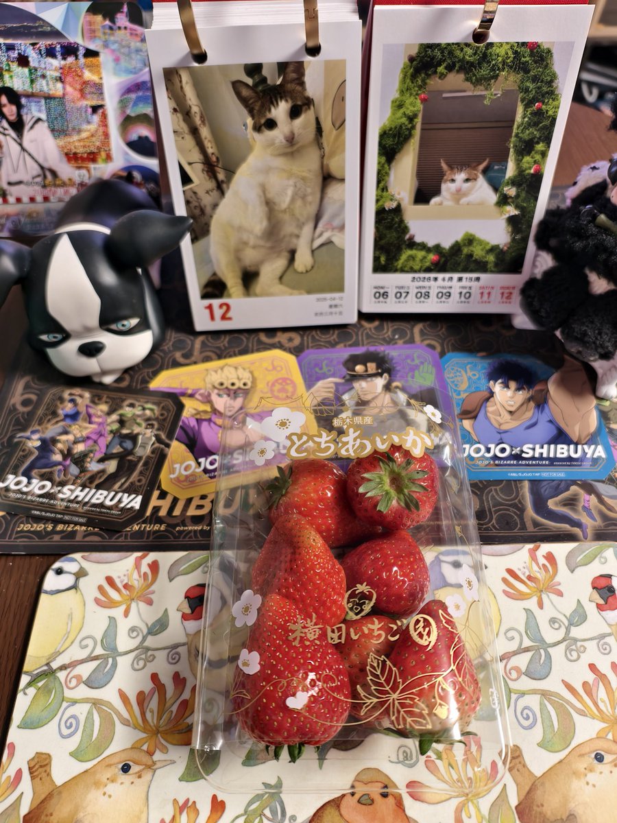 鄧 佳湄 トウジャメイ tweet media