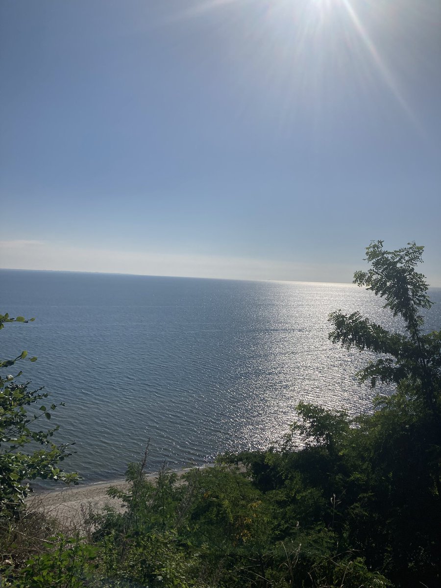 ziomson pl tweet media