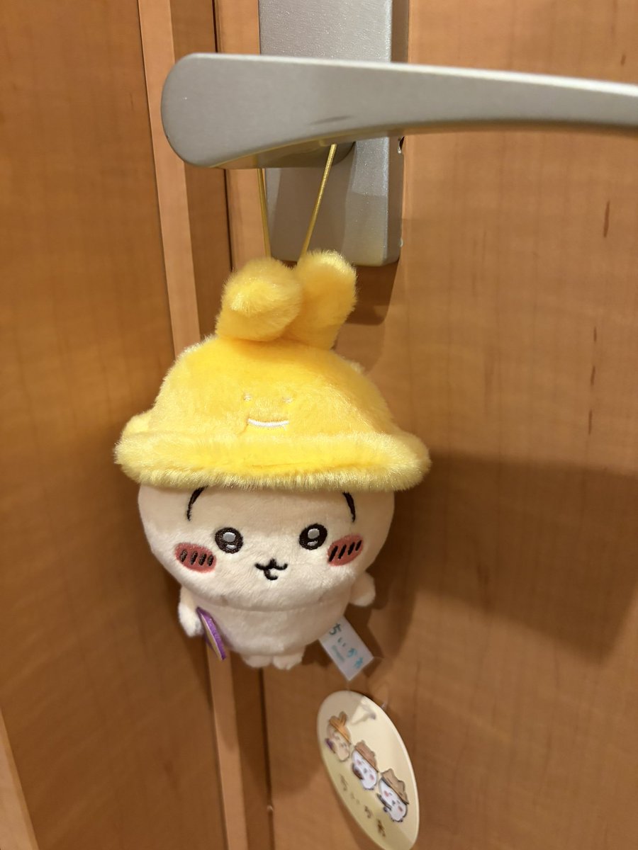 おうち帰ったら恐らくママたちからのお土産であろううさぎがドアノブに🥹💖
しばらくお部屋の守護神になってもらおうと思う😸