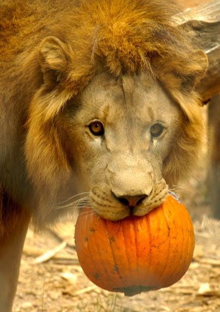 Jean Sights tweet media