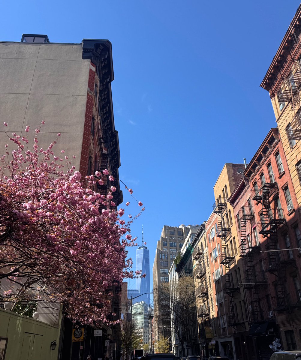 agent bubblegum tweet media