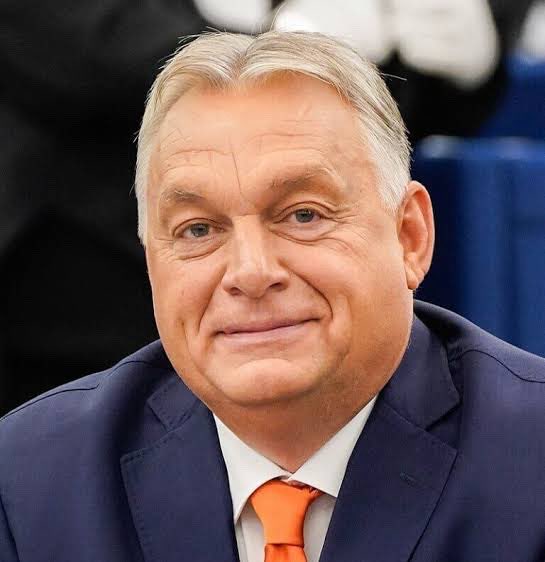 grzegorz 🇵🇱 tweet media