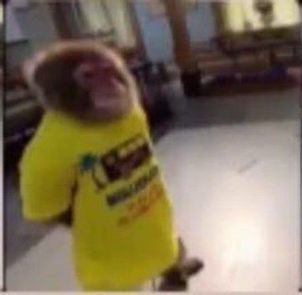 أمجاد الفيصل tweet media