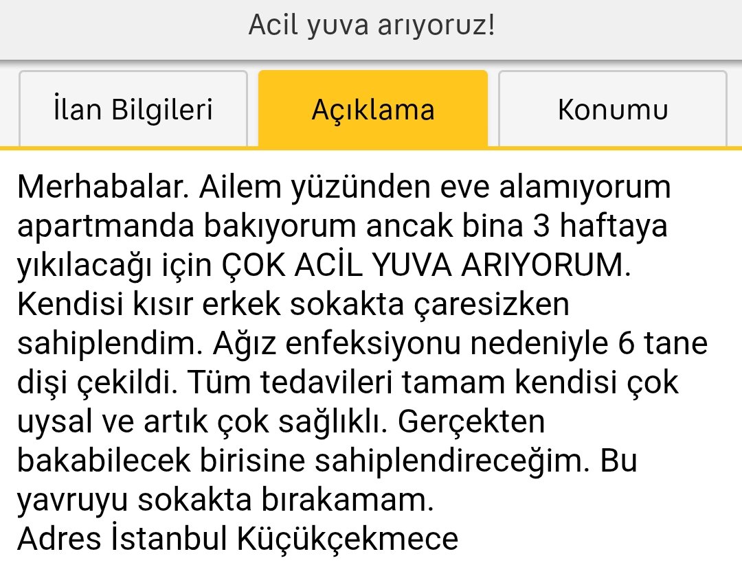 fuat #yeşimakbaş tweet media