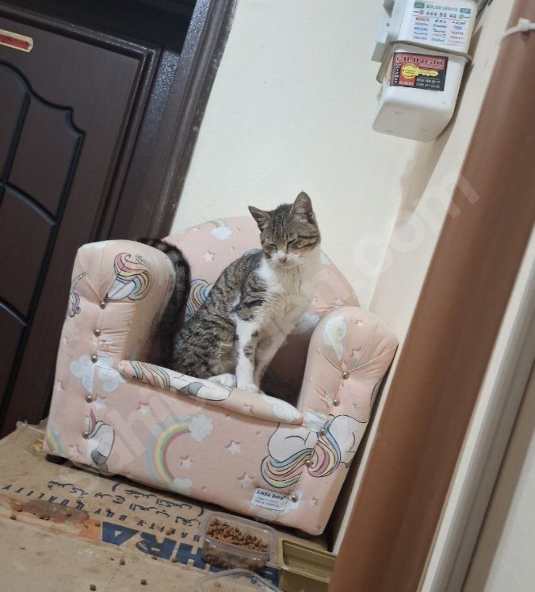 fuat #yeşimakbaş tweet media