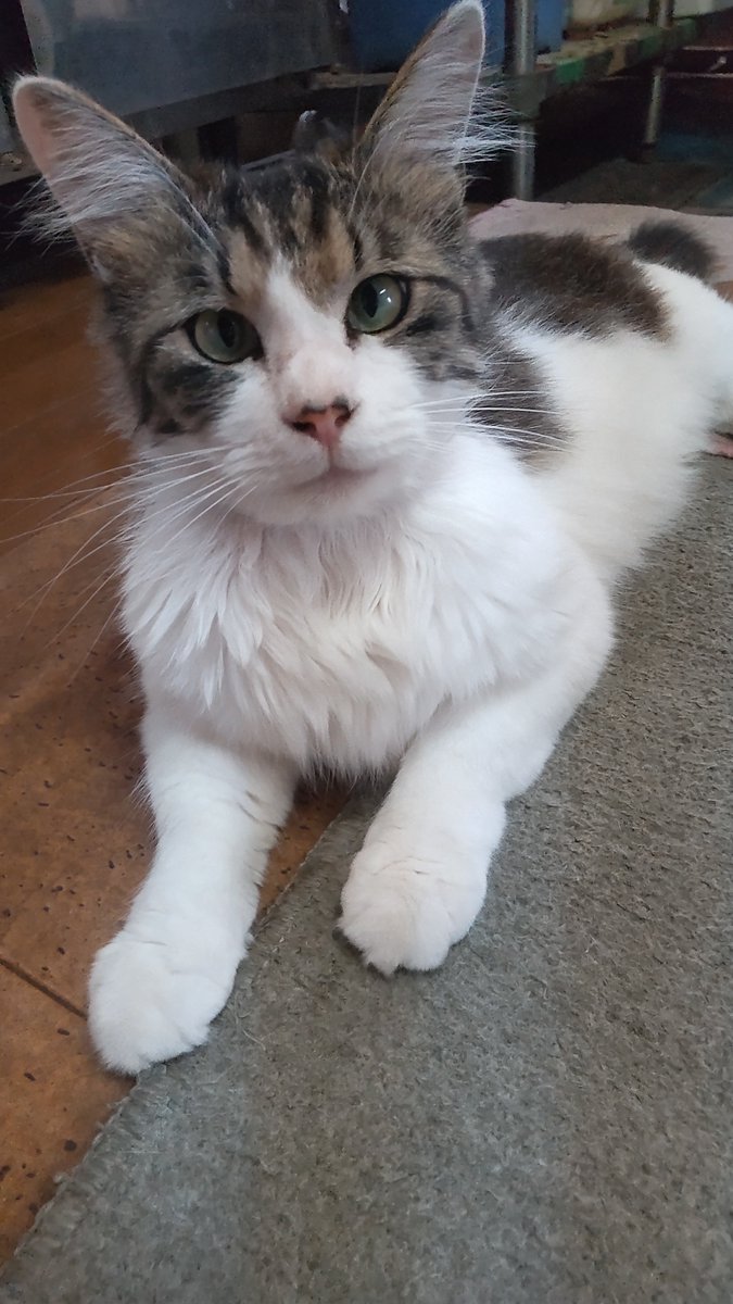 オッ散歩時々たび tweet media