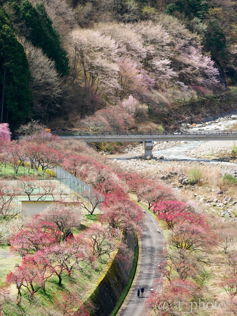 とーりん tweet media