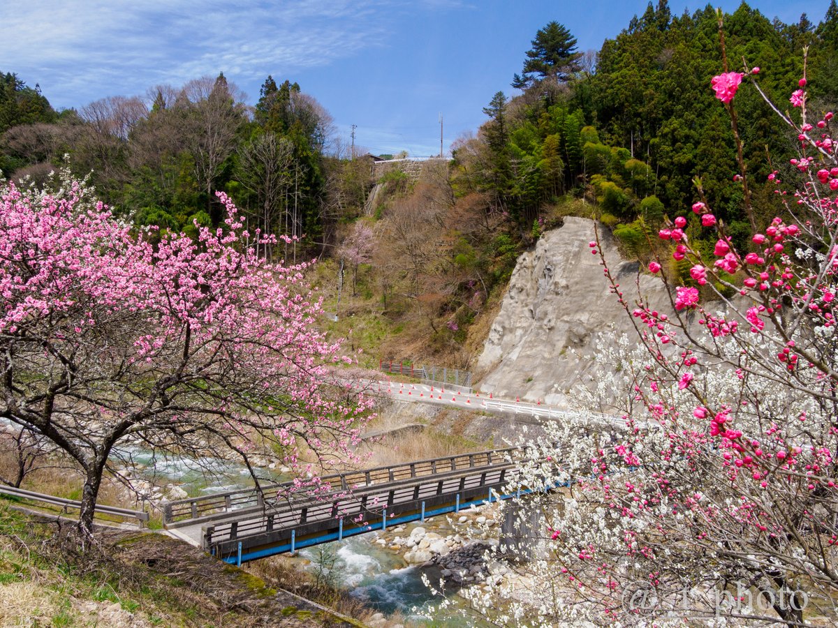 とーりん tweet media