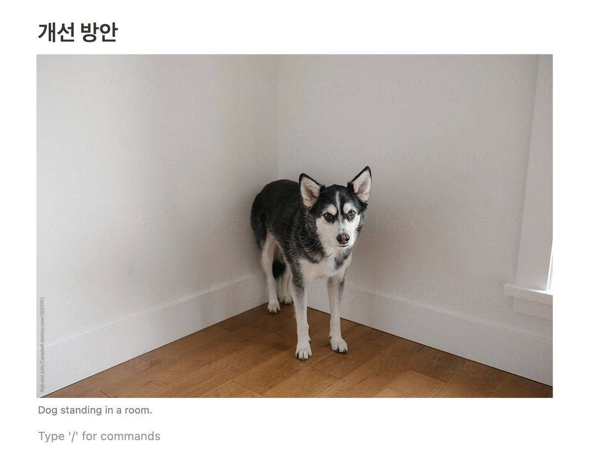 𖣰𖢃𖥂𖢑𖣇𖡄 tweet media