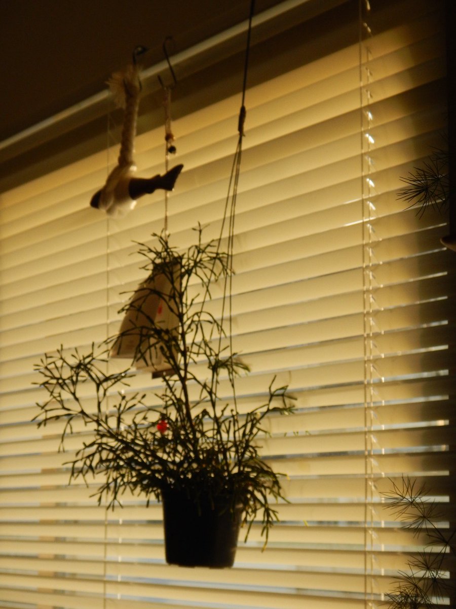 키미내 tweet media