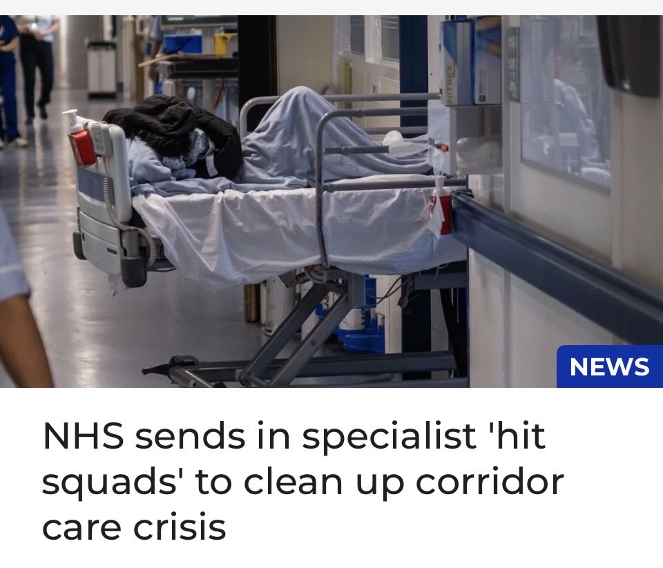 Orla Minihane tweet media