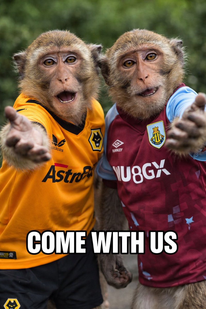 cov_wolf's tweet photo. #wolves #burnley #spurs
@Wolves @BurnleyOfficial @SpursOfficial https://t.co/fV4DbHJV5j