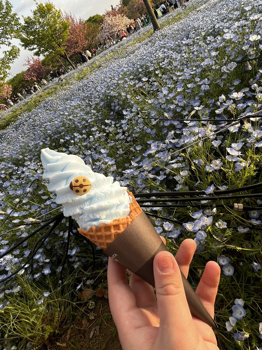 マブちゃんとネモフィラ畑行ったぞ〜！！
めっちゃ綺麗に咲いて感動😭
お寿司メロと太郎が可愛すぎてさすがに捕食です🤦‍♀️
めっちゃ楽しかった！！！！！