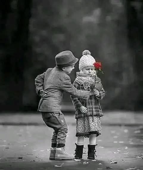 لحن القلب🫀😍 tweet media