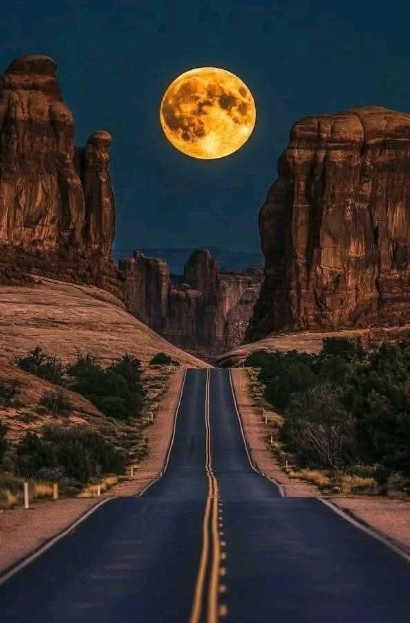 David88_01's tweet image. #Evening #WeekendMode #Natural #SundayVibez