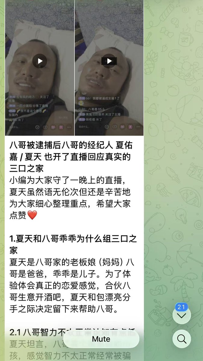 暹罗飞鸟 tweet media